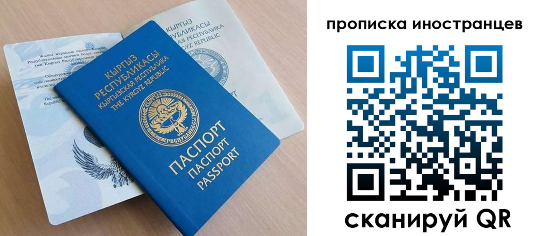 временная регистрация гарантия в Зее